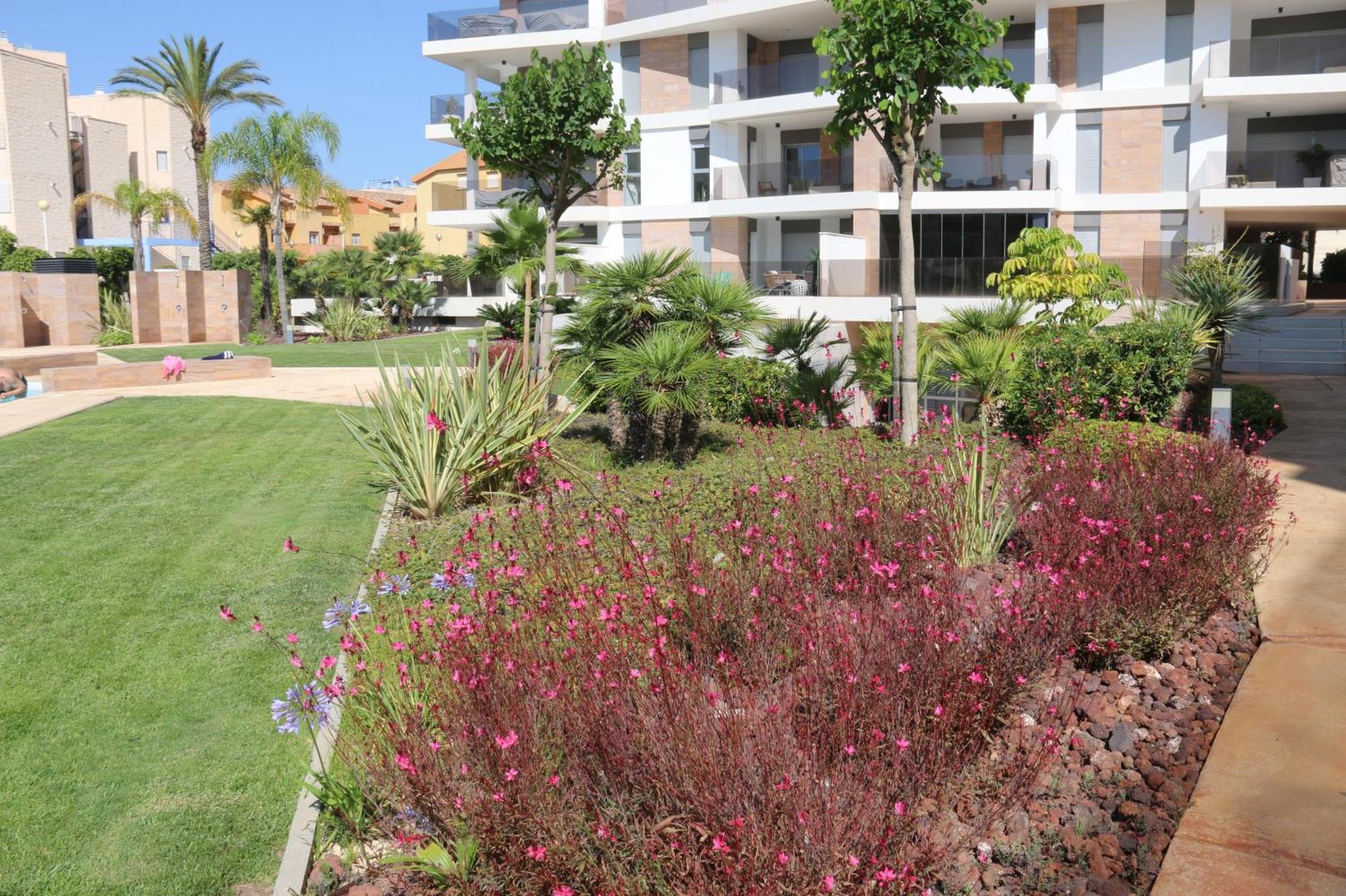 Luxusni Apartman Ve Spanelsku, Cabo Roig 오리후엘라 외부 사진