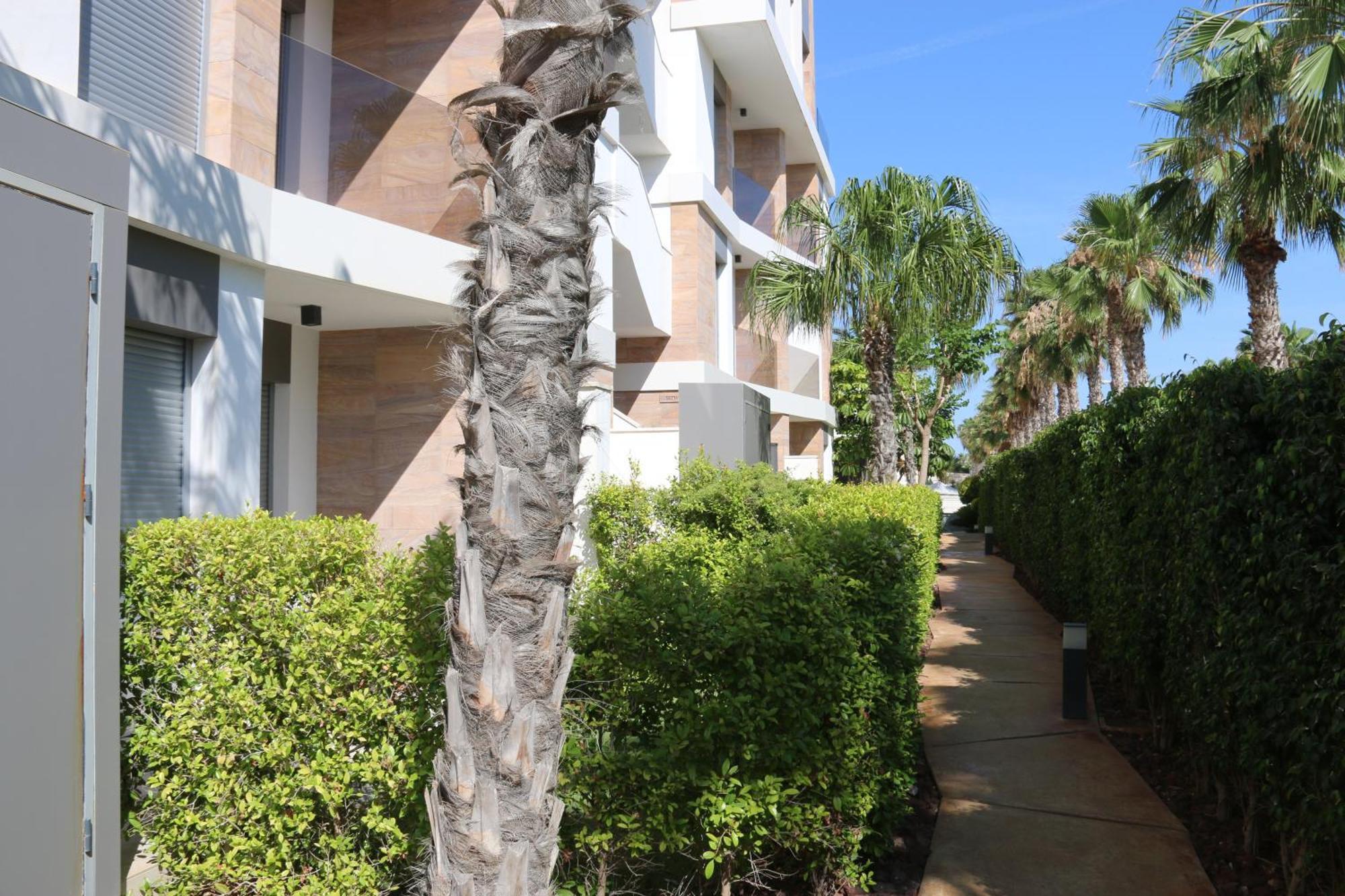 Luxusni Apartman Ve Spanelsku, Cabo Roig 오리후엘라 외부 사진